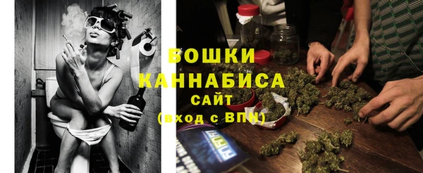 ECSTASY Грязовец