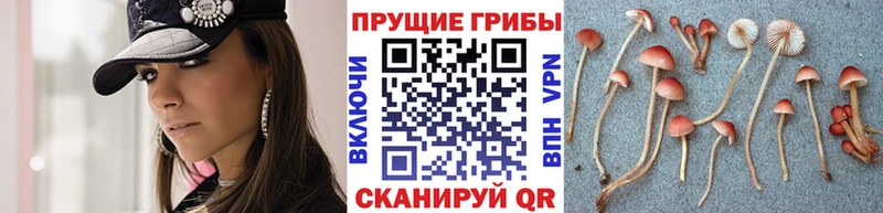 Галлюциногенные грибы ЛСД  Муром 