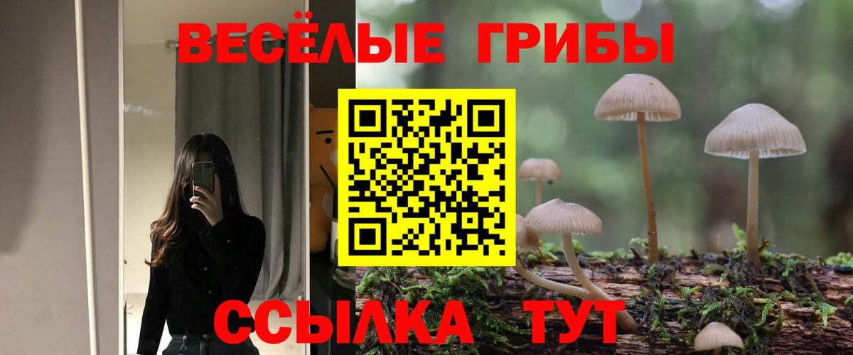Псилоцибиновые грибы мухоморы Муром