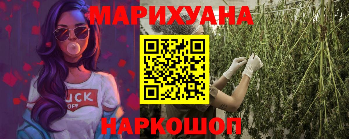 Муром  Бошки Шишки индика  Марихуана тримм  Бошки марихуана план  Канабис сатива  Вход с VPN 